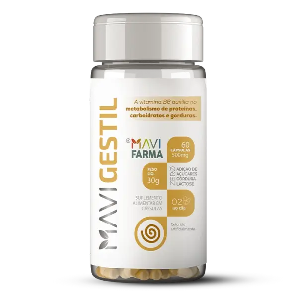 MaviGestil